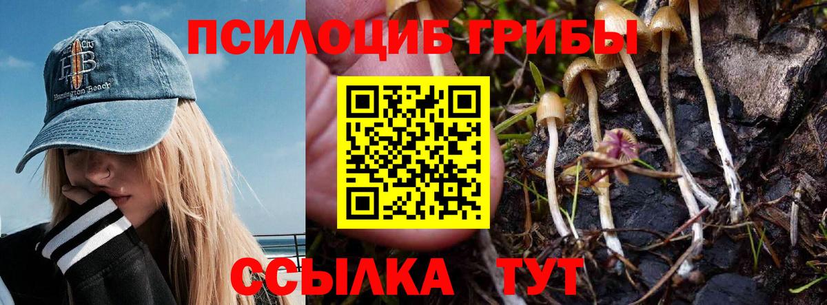 Псилоцибиновые грибы GOLDEN TEACHER Муром